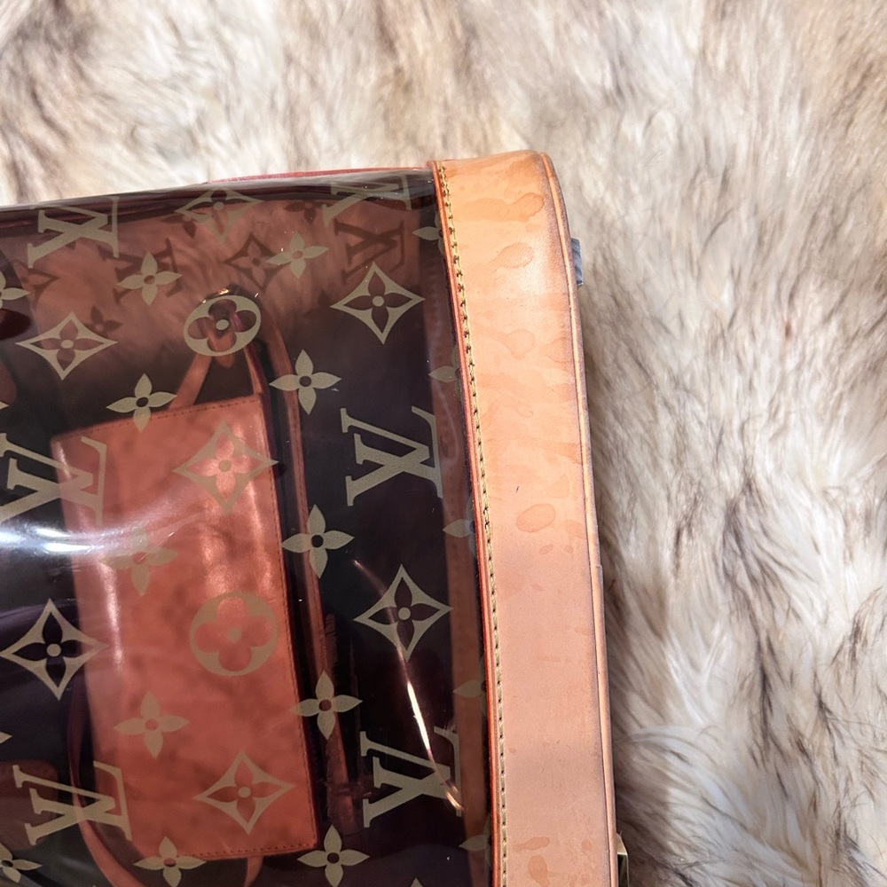 Louis Vuitton monogram vinyl and Brown Women's Bag - Picture 4 of 15